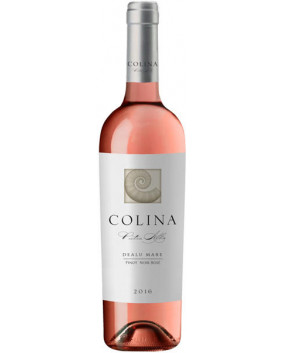 Colina Piatra Alba Rose 2016 | Halewood Intl | Dealu Mare  